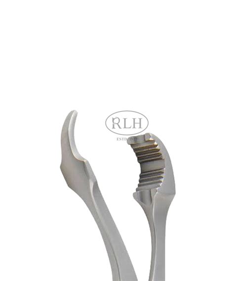 Self Centring Bone Holding Forceps R L Hansraj Co Surgicals