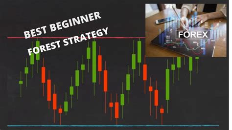 Best Forex Trading Strategies For Total Beginners YouTube