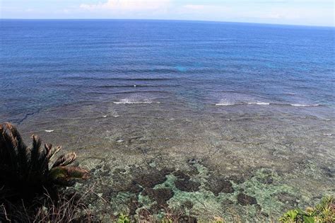 『サンゴ礁の沖永良部島をレンタカーで周る旅（2）』沖永良部島 鹿児島県 の旅行記・ブログ By Progresさん【フォートラベル】