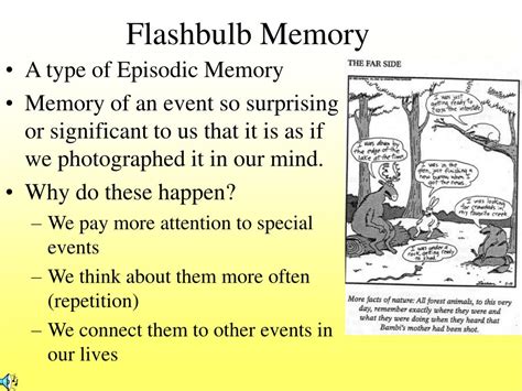 Ppt Three Kinds Of Memory Powerpoint Presentation Free Download Id