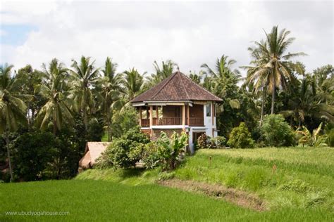 The Comprehensive Guide To Yoga In Ubud 2020 Retreathub