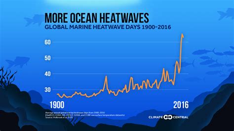 Ocean Heatwaves | Climate Central