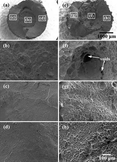 Sem Fracture Morphologies Of Tensile Samples A And E Low Download