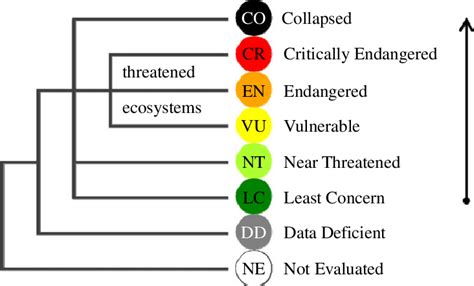 Structure Of The Iucn Red List Of Ecosystems Categories Thresholds Are