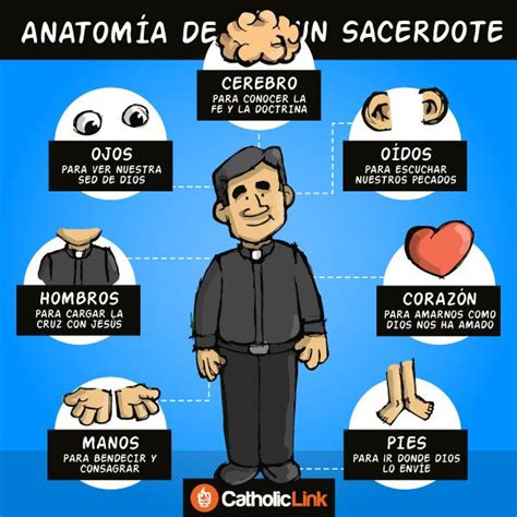 Infografía La anatomía de todos los sacerdotes Catholic Link