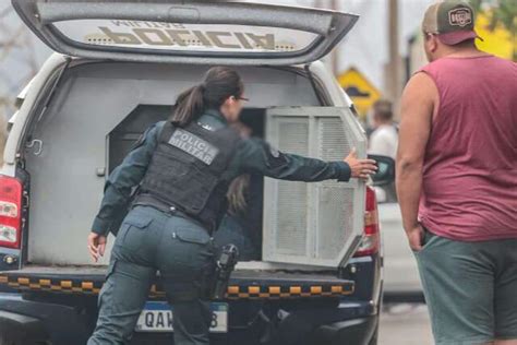 Motorista Invade Contram O Causa Acidente Carros E Acaba Na