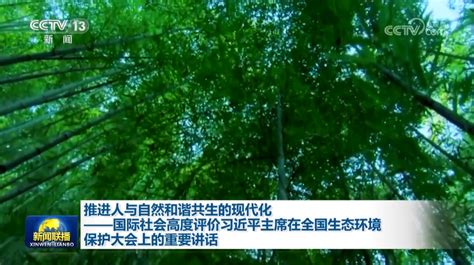 推进人与自然和谐共生的现代化——国际社会高度评价习近平主席在全国生态环境保护大会上的重要讲话凤凰网资讯凤凰网