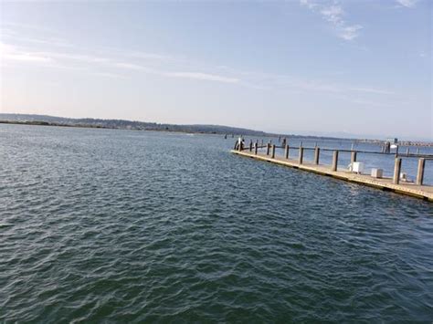 Jetty Island 77 Photos And 31 Reviews 10th St And W Marine View Dr