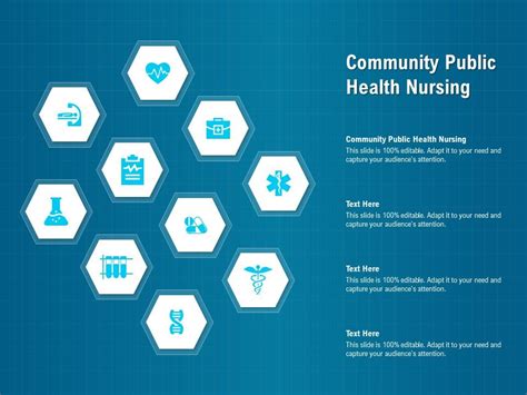 Community Public Health Nursing Ppt Powerpoint Presentation Model