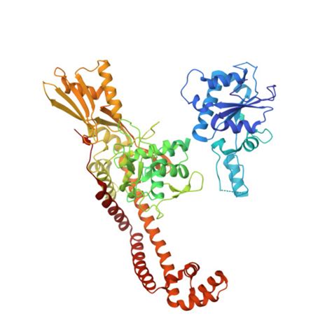 Rcsb Pdb 2xco The 31a Crystal Structure Of The Catalytic Core Ba