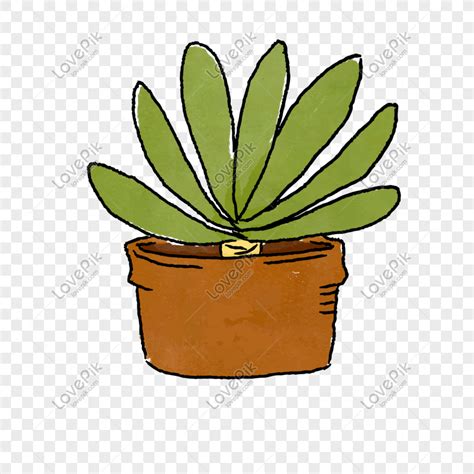 Ilustración De Vector De Planta Png PNG Imágenes Gratis Lovepik