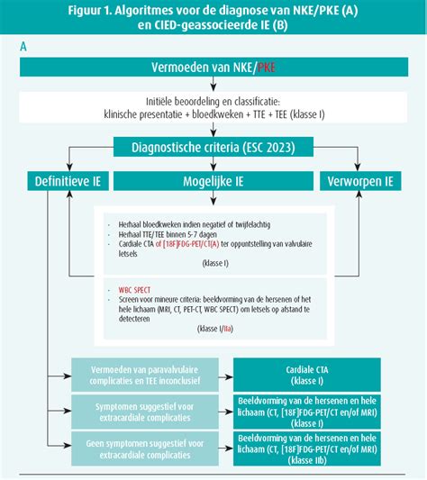 2023 ESC Guidelines For The Management Of Endocarditis Journal De