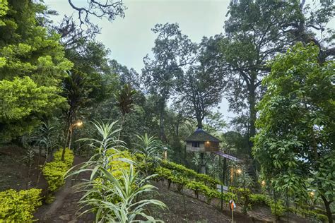 Nature Zone Resort Tree House In Munnar Trip Kerala