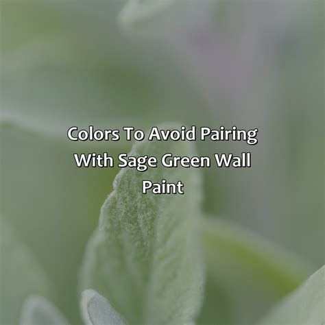 What Colors Go With Sage Green Wall Paint