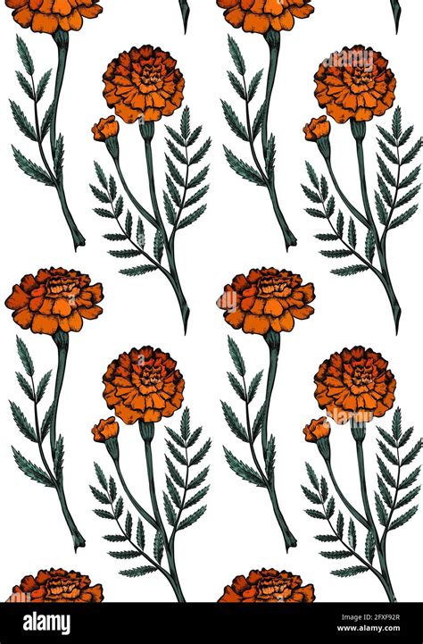 Seamless Pattern With Colorful Botanical Sketch Of Marigold Flowers