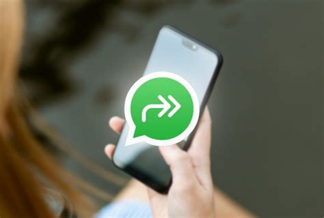 Para qué sirve el botón de la doble flecha de Whatsapp