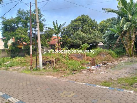 Dijual Cepat Tanah Di Tengah Perumahan Cantique Property Banyuwangi