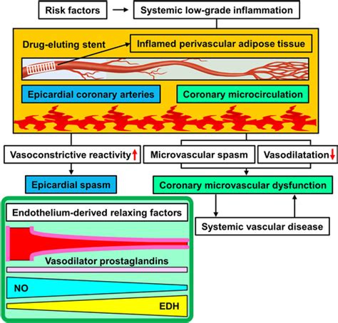 Coronary Microvascular Dysfunction Arteriosclerosis Thrombosis And