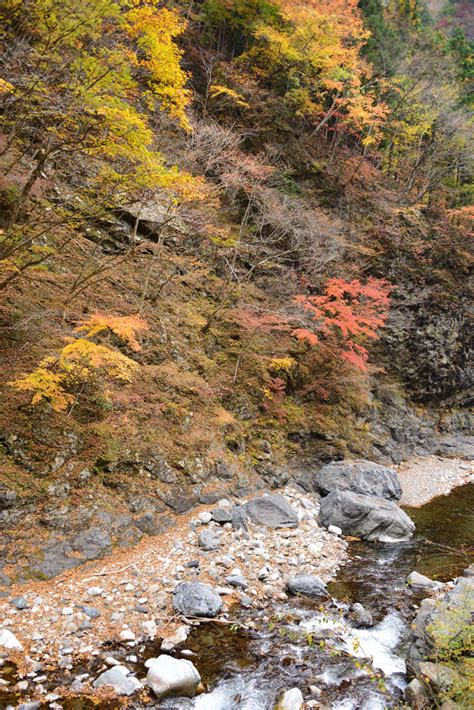 中津峡の紅葉～埼玉県秩父市③ 気まぐれフォトダイアリー