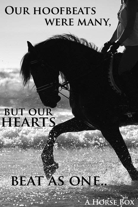 Horse Love Quotes And Sayings