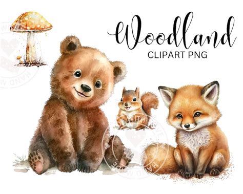 Waldtiere PNG Clip Art Waldtiere Bär Aquarell Fuchs Sublimation