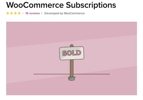 Woocommerce Subscriptions How To Boost Your Sales