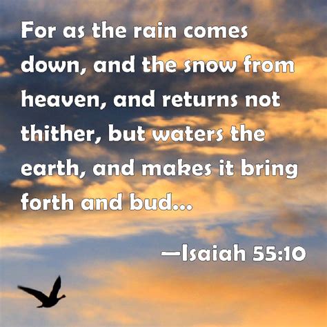 Isaiah 5510 For As The Rain Comes Down And The Snow From Heaven And