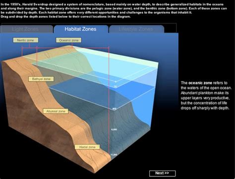 Zones Of The Ocean Marine Science