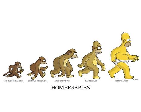 HD wallpaper: Homer The Simpsons Homersapien White Evolution HD ...