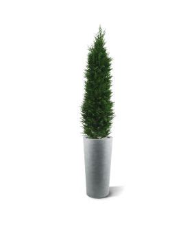 Artificial Italian Cypress Tree Cm Uv Proof Maxifleur Artificial