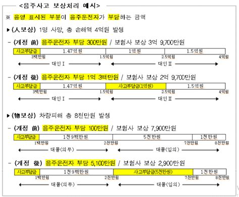 음주·뺑소니 사고 운전자 부담금 강화자동차보험 표준약관 개정 日刊 Ntn일간ntn