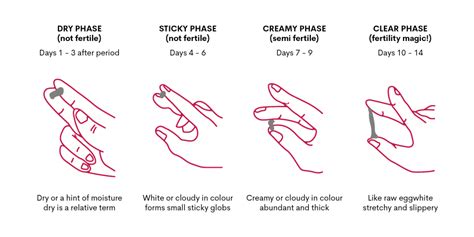 Vaginal Discharge Normal Vs Not Normal