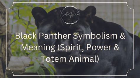 Black Panther Symbolism & Meaning (Spirit, Power & Totem Animal)