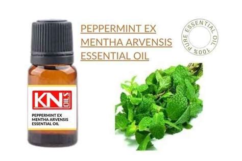 PEPPERMINT EX MENTHA ARVENSIS ESSENTIAL OIL Buy 100 Pure ESSENTIAL