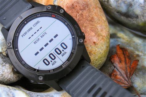 Venta Diferencias Garmin Fenix En Stock