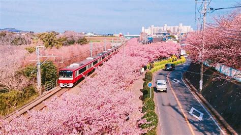 【2023櫻花季】日韓賞櫻攻略！從賞櫻行程到飯店預訂，10 大櫻花行程、限定優惠一篇收齊！ Gq Taiwan