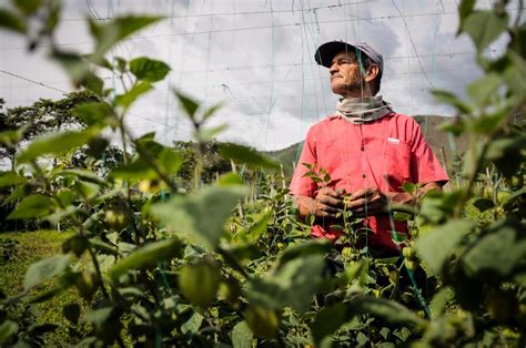 Cr Dito Para Emprendimiento Rural Con Ministerio De Agricultura