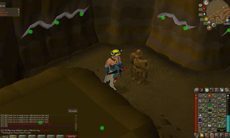 My first ever OSRS pet! : r/ironscape