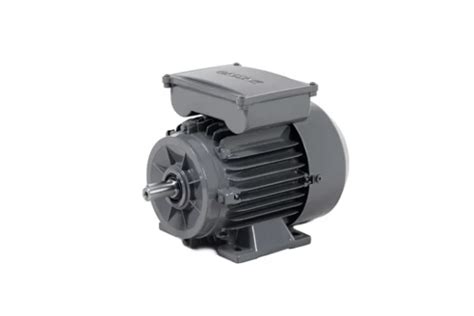 MK22D 100 L 4b 1 Fazlı Asenkron Motor GAMAK