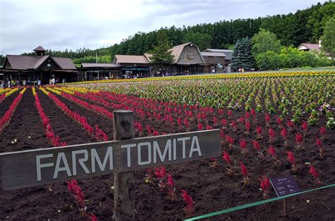 Farm Tomita | Eatlosophy