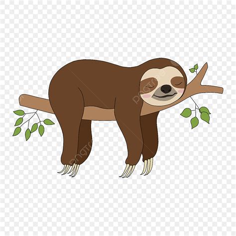 Sloth Clip Art