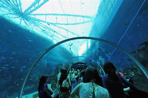 Największe oceanarium świata Oceanarium w Singapurze WP Wiadomości