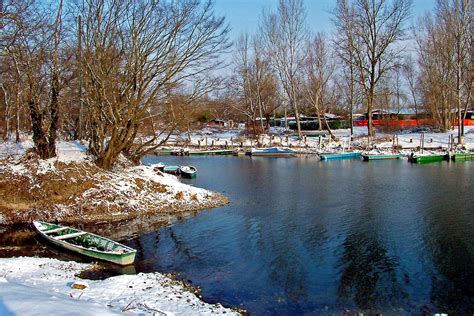 Winter Parco Del Ticino Zona Di Vigevano Pv Alfredo Prim Flickr