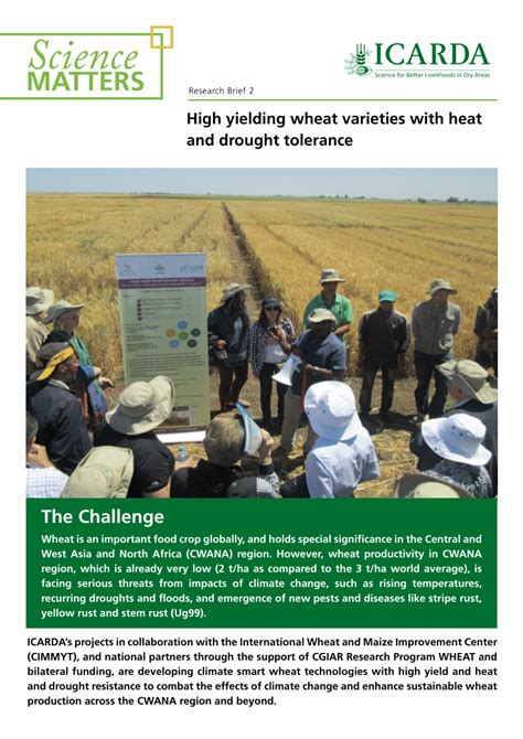 Pdf High Yielding Wheats With Heat And Drought Tolerance