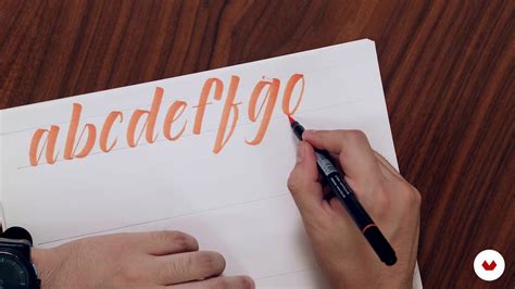 Herramientas De Expansión Lettering Digital Con Illustrator Y