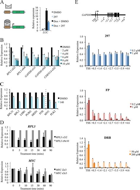 Cdk7 Inhibition Reduces De Novo Transcription By Rna Polymerase Ii A