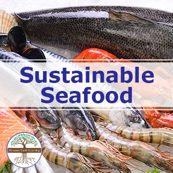 Sustainable Seafood Video Handout And Worksheets Made By Teachers