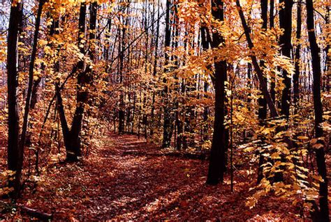 Bruce Trail Laura Secord Trail Great Runs