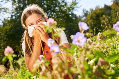 Allergie Au Pollen Et Rhume Des Foins Sympt Mes Et Traitement