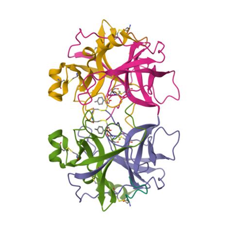 Structure Of Chymotrypsin